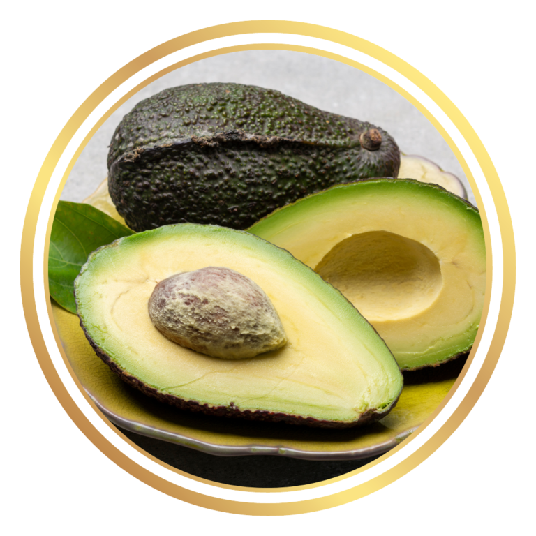 Avocado Fruit Tree