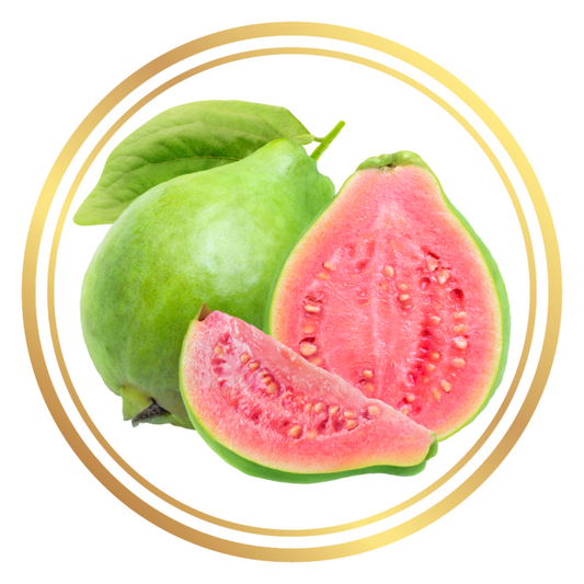 Hawaiian Pink Guava Fruit Tree