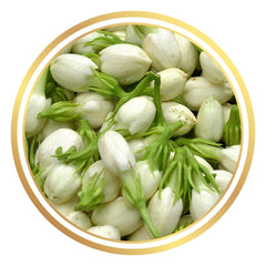 Indian Jasmine