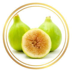 Fig Tree Italian Honey