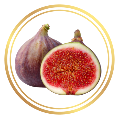 Jenny Smith Blue Fig Tree