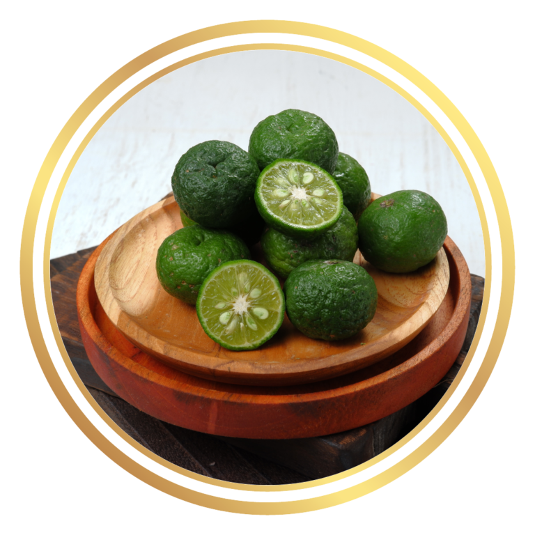 Jeruk Limo Lime Tree