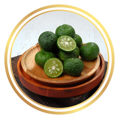 Jeruk Limo Lime Tree