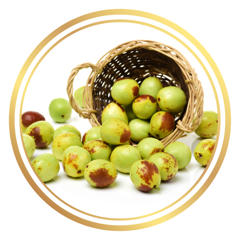 Jujube Li Chinese Dates Fruit Tree