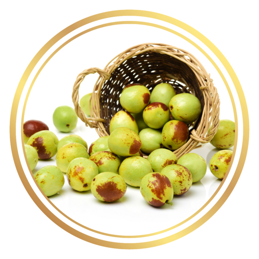 Jujube Li Chinese Dates Fruit Tree