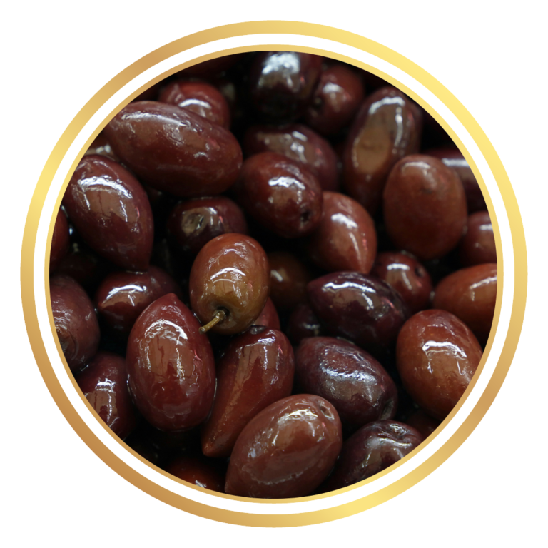 Olive Tree