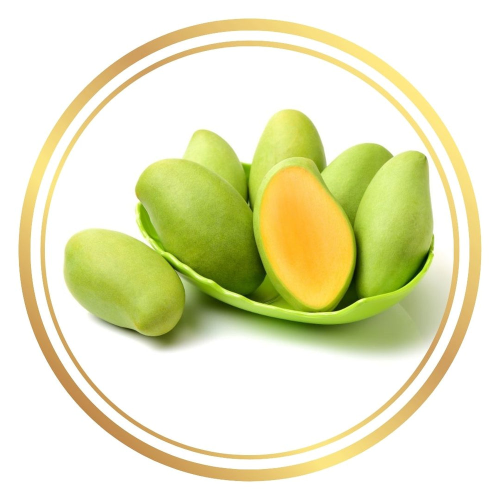 Keow Savoy Mango Tree