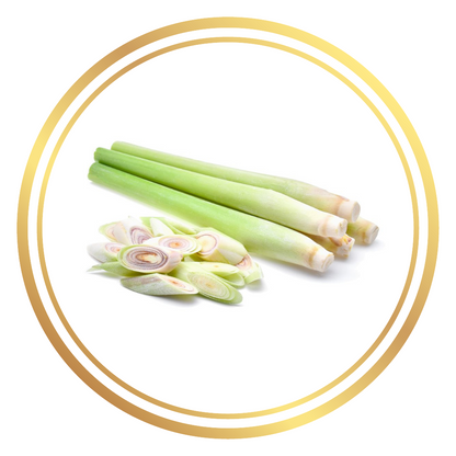 Herbs Plant Lemongrass
