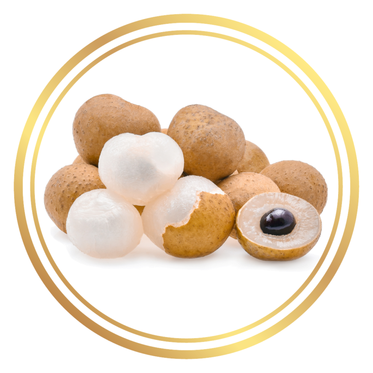 Longan Fruit Tree