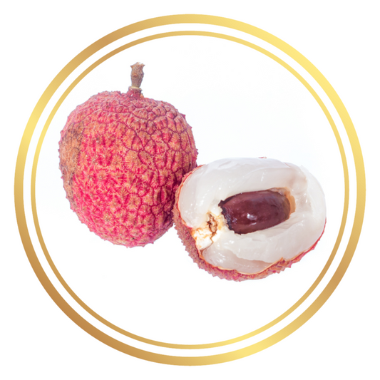 Lychee Erdon Lee Fruit Tree