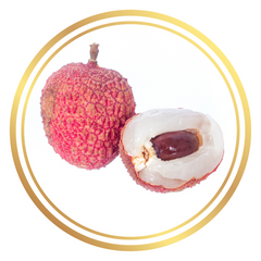 Lychee Erdon Lee Fruit Tree