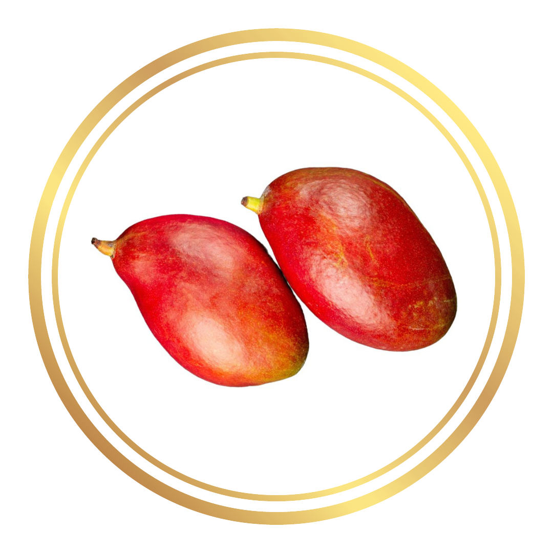 Alison Red Mango Tree