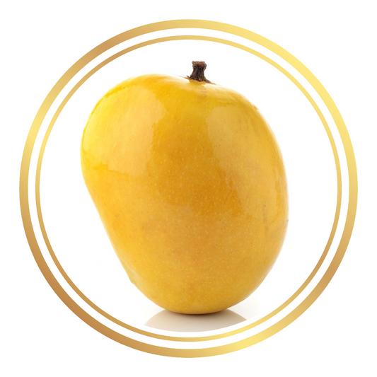 Mango Alphonso Fruit Tree