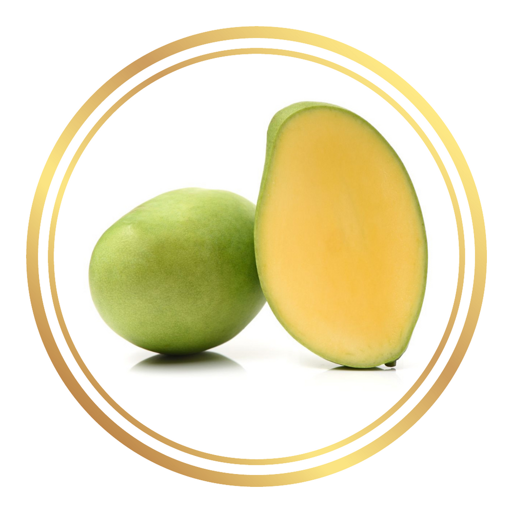 Bambaroo Mango Tree
