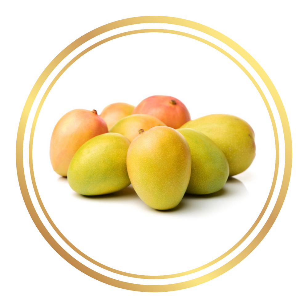 Glenn Mango Tree
