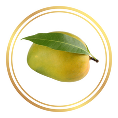 Kensington Pride Mango Tree