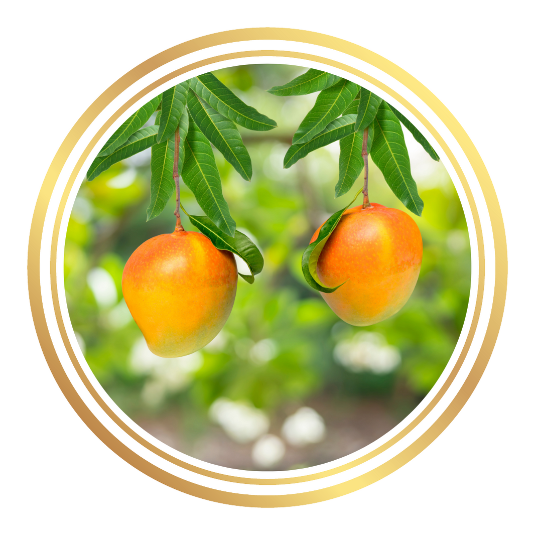 Fruit Trees Perth | Buy Fruit Trees Online | Perth Mobile Nursery