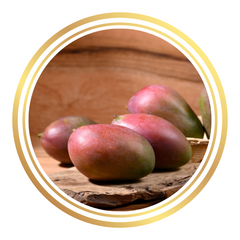 Mango Tree Sensation