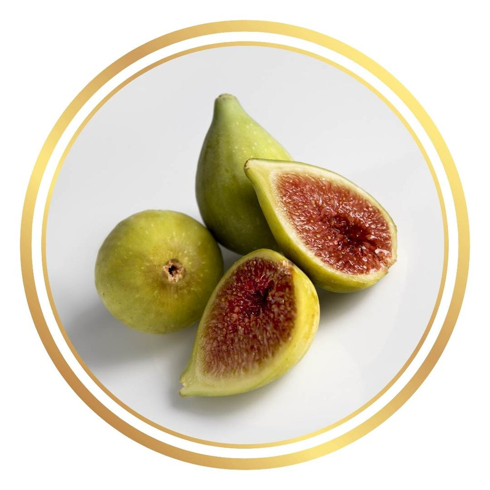 Margurette Fig Tree