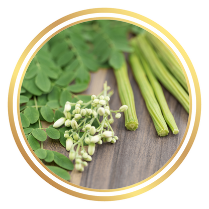 Moringa Tree