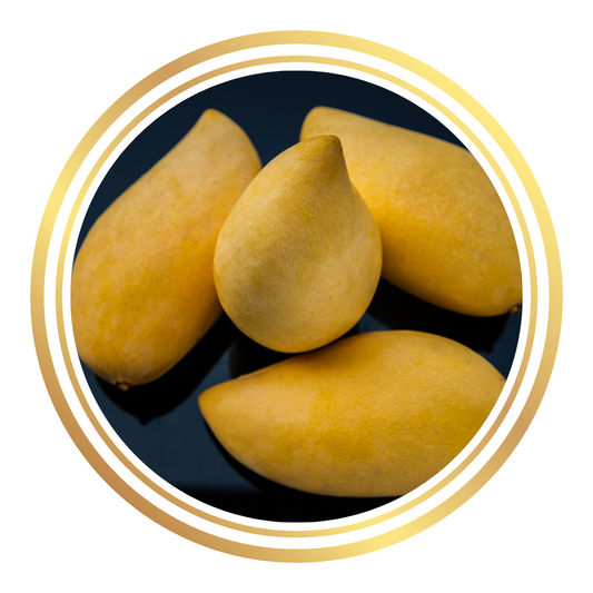 Nam Dok Mai Mango Tree Thailand Variety