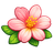 ORNAMENTALS