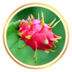 Peony Perfection Dragon Fruit