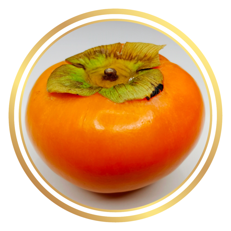 Persimmon Fuyu Fruit Tree