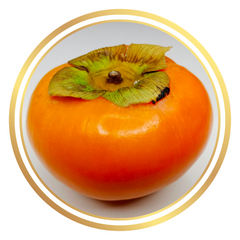 Persimmon Fuyu Fruit Tree