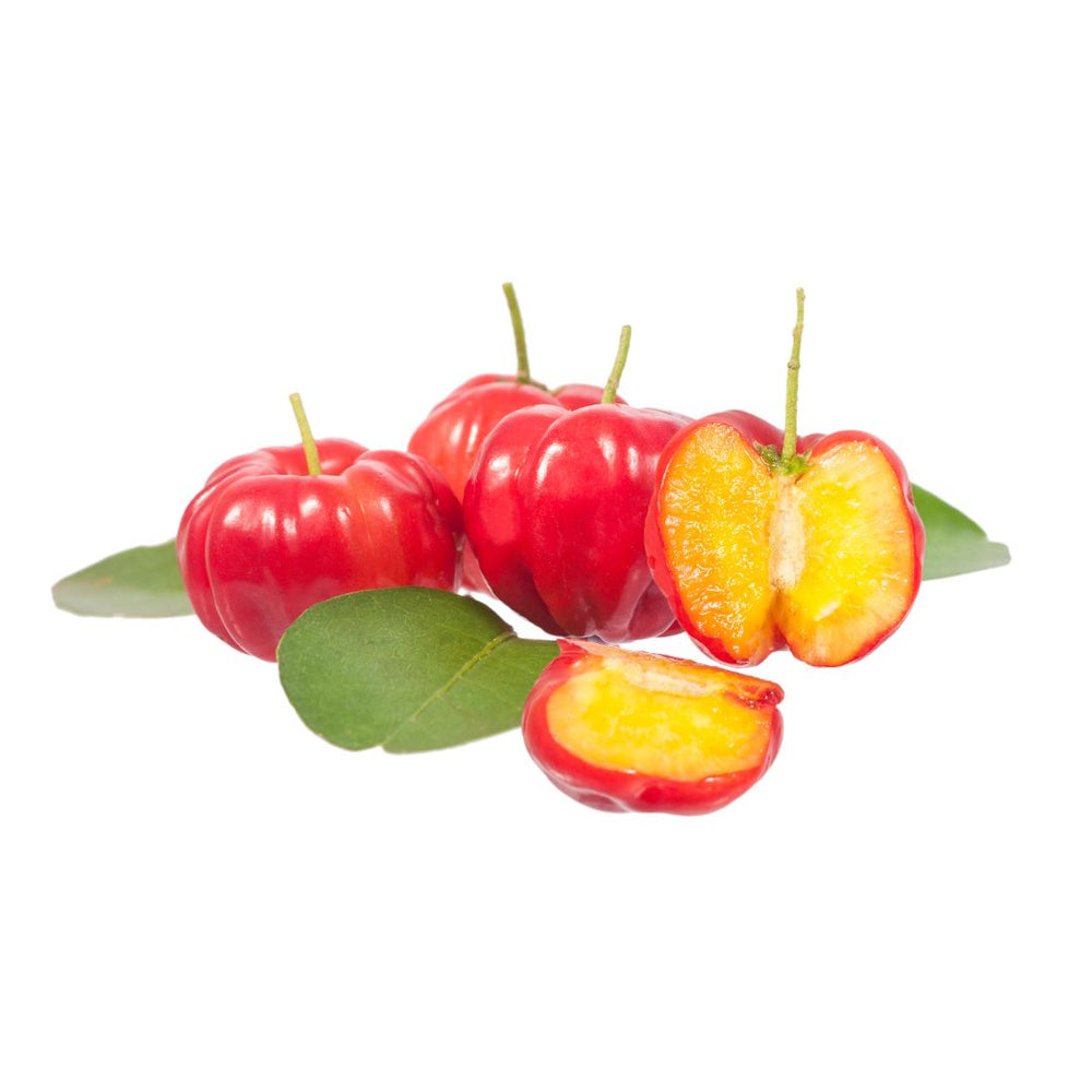 Acerola Barbados Cherry Fruit Tree