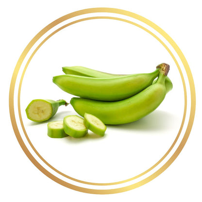 Banana Tree Saba Bluggoe Mini Plantain