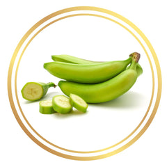 Banana Tree Plantain Pacific