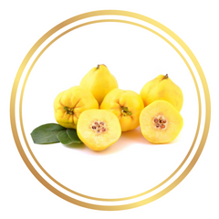 Smyrna Quince Fruit Tree