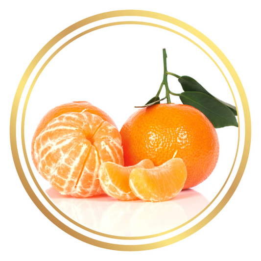 Semi Dwarf Fruit Tree Afourer Mandarin