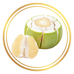 White Pomelo Fruit Tree