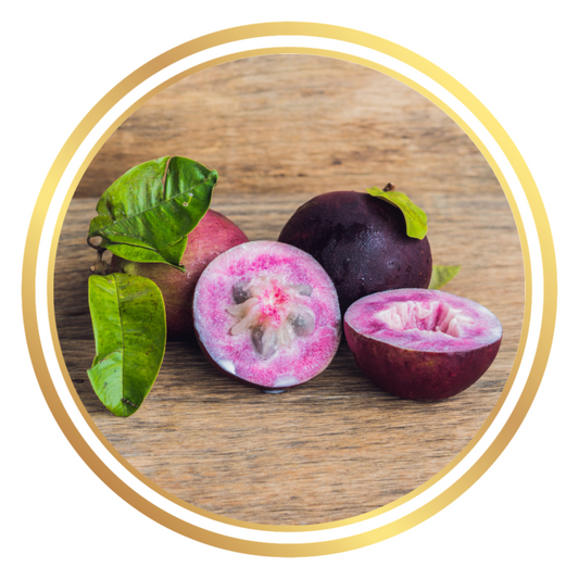 Star Apple Fruit Tree Caimito