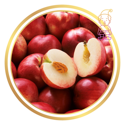 Super Dwarf Nectarine Fruit Tree