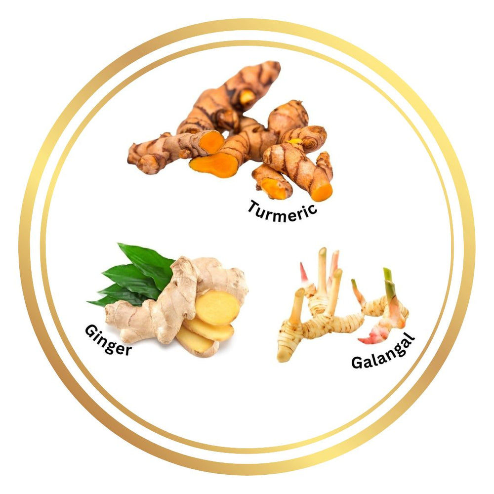 Turmeric Ginger Galangal Herbs