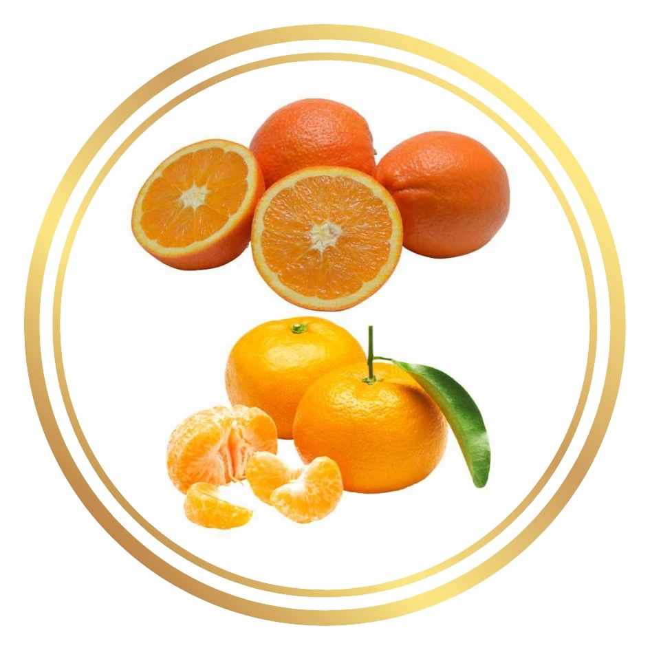 Twin Grafting Orange and Mandarin Perth