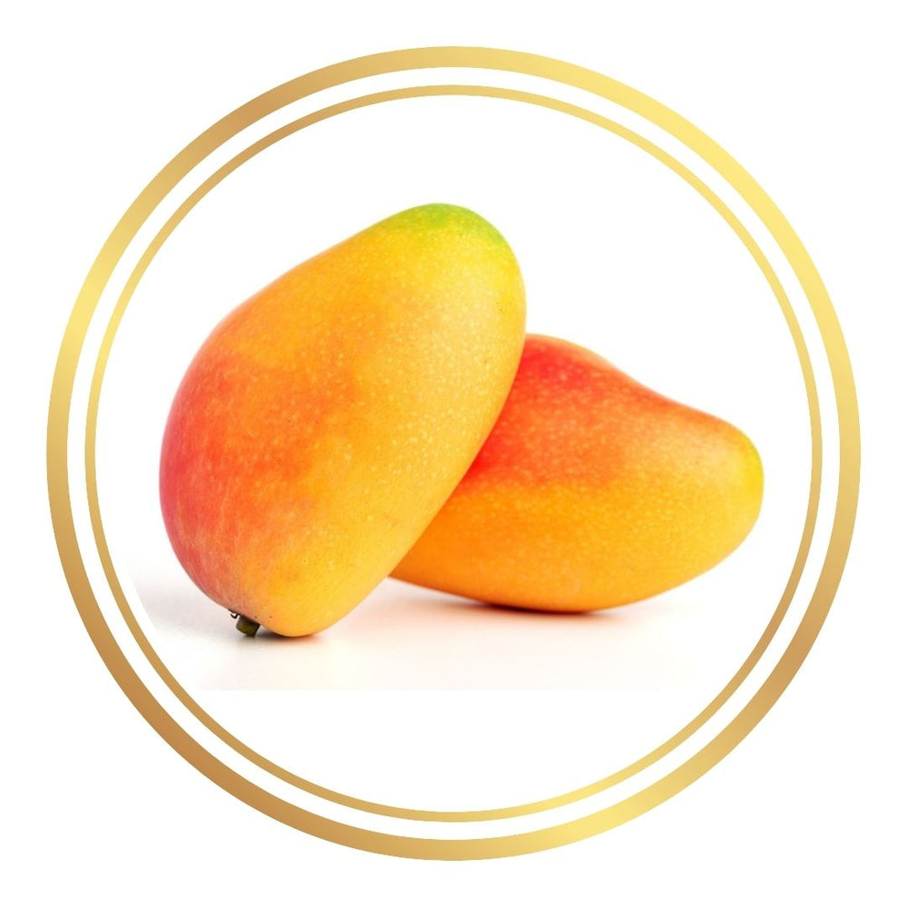 Valencia Pride Mango Tree