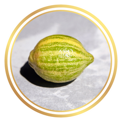 Variegated Lemon Eureka