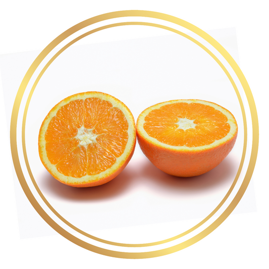 Washington Navel Orange Fruit Tree