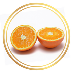 Washington Navel Orange Fruit Tree