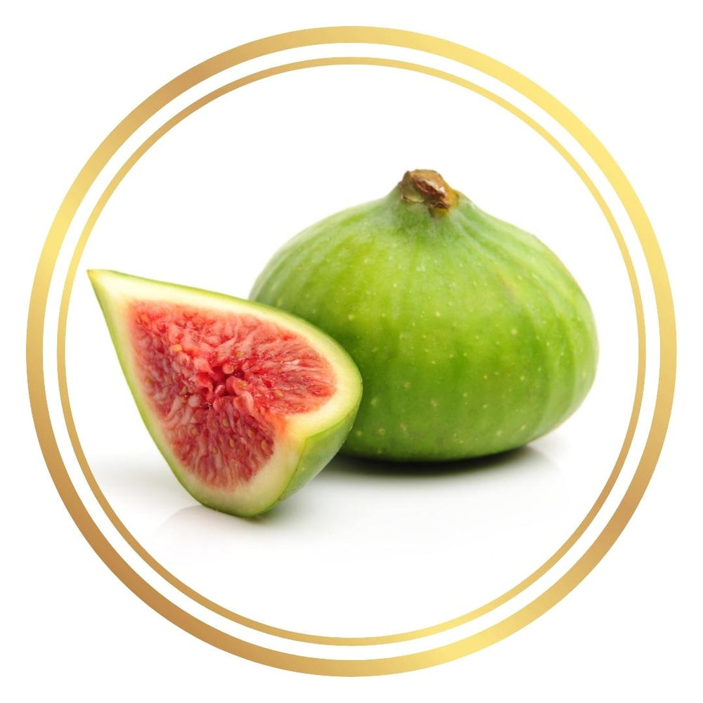 Piconi Fig Tree