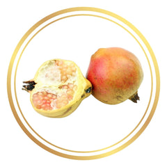 Pomegranate Griffith