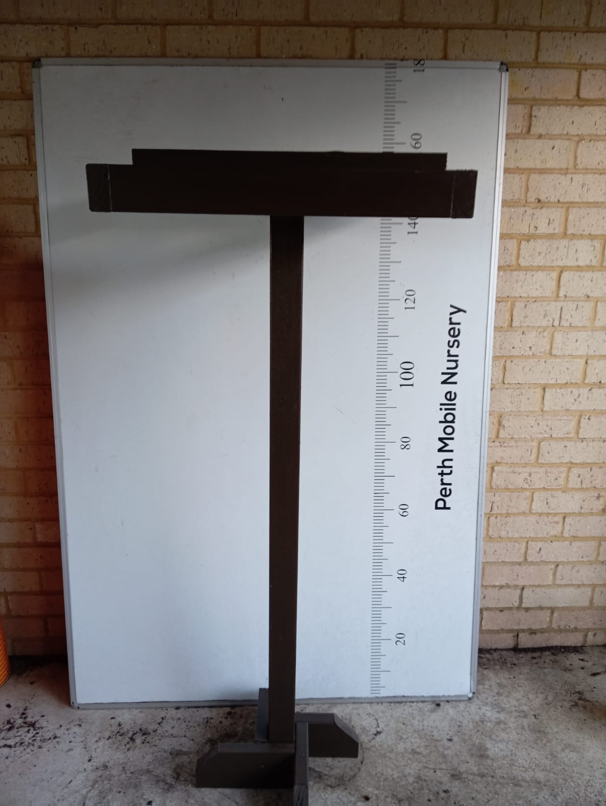 dragon fruit stand Perth