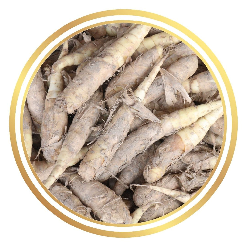 Queensland Arrowroot