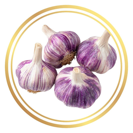 Australian Purple Garlic