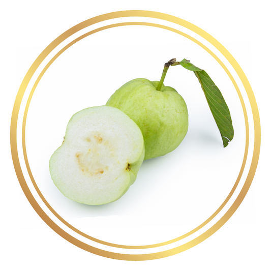 White Guava Fruit Tree