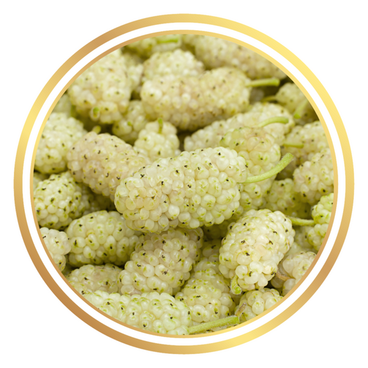 White Mulberry Fruit Tree